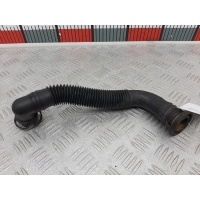 Патрубок вентиляции картерных газов Volkswagen Bora(Jetta) (1998-2005) 1999 06A131127,1J0131128