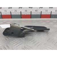 Петля капота левая Citroen C5 1 (2000-2008) 2007 ,791285