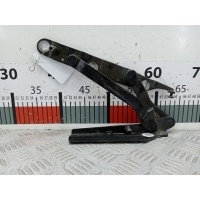 Петля крышки двери багажника CoupeCabriolet B4 1991-2000 1998