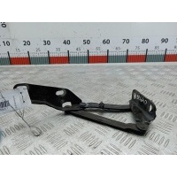 Петля капота правая Mercedes Sprinter 2 (W906) (2006-2016) 2008 9067500121,A9067500121