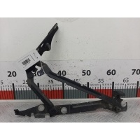 Петля крышки (двери) багажника Volvo S80 1 (1998-2005) 2002 ,30634568