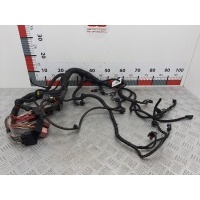 Проводка (жгут проводов) Renault Sandero 1 (2007-2014) 2010 ,8200379181