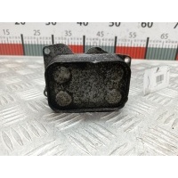Теплообменник Citroen C8 (2002-2014) 2010 6790979911,1886418