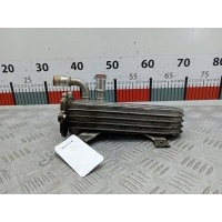 Радиатор системы ЕГР Volkswagen Touran 1 (2003-2015) 2004 038131513D,038131513D