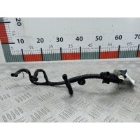 Проводка (жгут проводов) Citroen C4_Picasso 1 (2006-2013) 2008 9653805580,5969C0