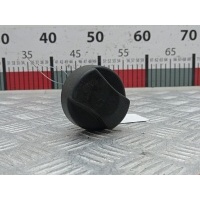 Крышка топливного бака Opel Zafira A (1999-2006) 1999 ,13140958