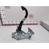 Педаль тормоза Opel Zafira B (2005-2014) 2011 24463406,24463406