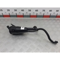 Маслоотделитель (сапун) Opel Insignia 1 (2008-2017) 2010 70330351,55575980