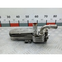 Радиатор системы ЕГР Volkswagen Golf 4 (1997-2004) 2000 038131513D,038131513D