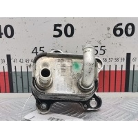Теплообменник Opel Meriva A (2003-2010) 2004 8973515060,97351508