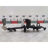 Проводка (жгут проводов) Citroen Xsara Picasso (1999-2012) 2007 9653805580,5969C0