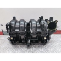 Коллектор впускной Skoda Fabia 1 (1999-2007) 2003 036129711DP,036129711DP