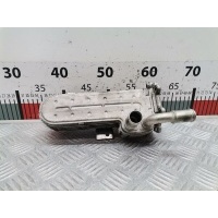 Радиатор системы ЕГР Volkswagen Golf 4 (1997-2004) 2002 038131513D,038131513D