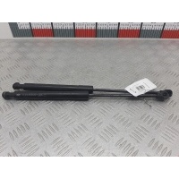 Амортизатор капота Mercedes Citan (W415) (2012-2021) 2013 654706489R,654706489R