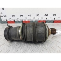 Пневмоподушка задняя левая Mercedes E-Class (W211) (2002-2009) 2006 C095083,A2113200925