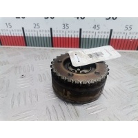 Фазорегулятор (ванос) Volkswagen Golf 4 (1997-2004) 2002 ,022109087E