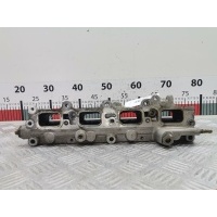 Рампа топливная (топливная рейка) Volkswagen Passat 6 (2005-2010) 2005 GK00266,03C133204AH