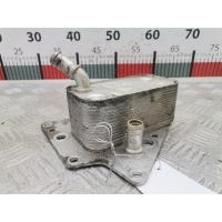 Теплообменник Opel Astra H (2004-2014) 2006 5989070231,93188379