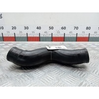 Патрубок интеркулера Opel Astra H (2004-2014) 2006 55557037 498891241,55353003
