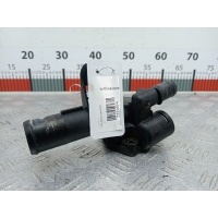 Корпус термостата Renault Megane 2 (2002-2009) 2003 248531A,110602309R