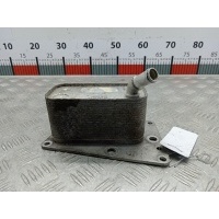 Теплообменник Opel Astra H (2004-2014) 2006 5989070241,5989070241