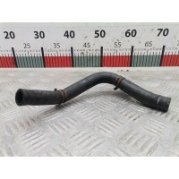 Патрубок системы охлаждения Volkswagen Touran 1 (2003-2015) 2007 1K0122051EL,1K0121086AN