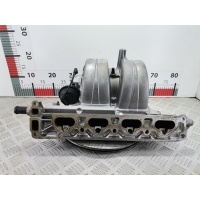 Коллектор впускной Opel Vectra C (2002-2008) 2002 24405386,24405386