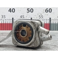 Теплообменник Volkswagen Passat 5 GP (2000-2005) 2003 028117021B,028117021L