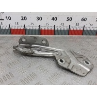 Петля капота левая Volkswagen Touran 1 (2003-2015) 2007 1T0823301,1T0823301B