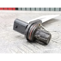 Датчик распредвала Opel Astra J (2009-2018) 2010 55565709,25195556