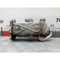 Радиатор системы ЕГР Volkswagen Golf 6 (2007-2012) 2010 03L131512AT,03L131512AT