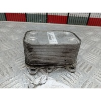 Теплообменник Volkswagen Golf 6 (2007-2012) 2010 03L117021C,03L117021C