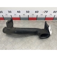 Воздухозаборник (наружный) Opel Zafira B (2005-2014) 2008 55351756,55351756