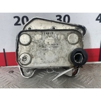 Теплообменник Mercedes E-Class (W211) (2002-2009) 2004 A6111880301,A6121880101
