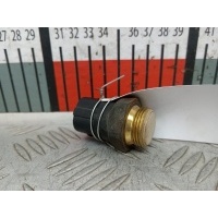Датчик температуры охлаждающей жидкости Volkswagen Golf 4 (1997-2004) 1998 1H0959481B,1H09594818