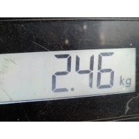 Интеркулер (радиатор интеркулера) Volkswagen Golf 4 (1997-2004) 1998 862319R,1J0145805D
