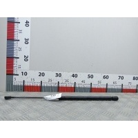 Амортизатор капота Audi A3 8L (1996-2003) 1999 8L0823359,8L0823359