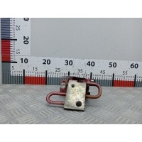 Петля двери передней правой Volkswagen Golf 4 (1997-2004) 1998 4B0831412A,4B0831412B