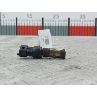 Датчик коленвала Opel Meriva A (2003-2010) 2006 4286P1,10456604
