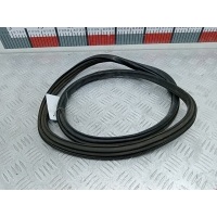 Уплотнитель стекла двери Mitsubishi Pajero 4 (2006-2023) 2009 ,0258003491