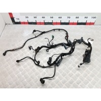 Проводка (жгут проводов) Opel Meriva A (2003-2010) 2006 ,13194254