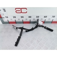 Петля крышки (двери) багажника Ford Kuga 1 (2008-2012) 2009