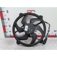 Вентилятор радиатора основного Citroen C5 1 (2000-2008) 2002 A2035001793,1250G4