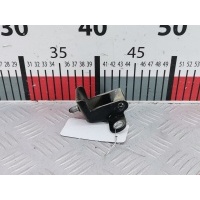 Петля крышки (двери) багажника Peugeot 308 (2007-2015) 2008 ,8613E3