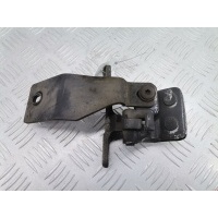 Петля крышки (двери) багажника Land Rover Range_Rover_Sport 1 (2005-2013) 2006