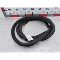 Уплотнитель двери Volkswagen Passat 6 (2005-2010) 2010 3C5867913B,3C9867913C5AP
