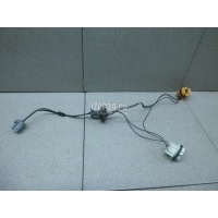 Патрон лампы Ford Focus II (2008 - 2011) 1567128