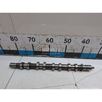 Распредвал выпускной Renault Clio III (2005 - 2012) 130208342R