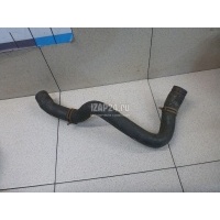 Патрубок радиатора Ford Transit (2006 - 2013) 1371293