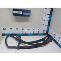 Уплотнитель двери Nissan EX/QX50 (J50) (2008 - 2017) 808311BA0A